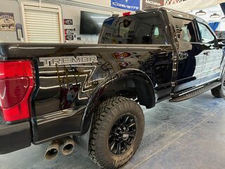 Vehicle detailing and protection project