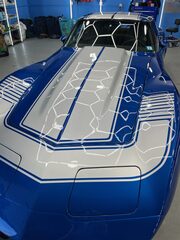 Vehicle detailing and protection project