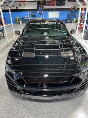 Vehicle detailing and protection project