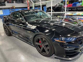 Vehicle detailing and protection project