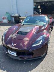 Vehicle detailing and protection project