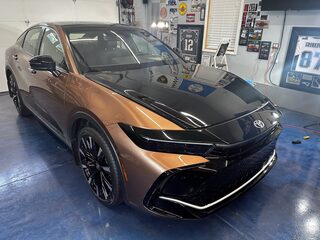 Vehicle detailing and protection project